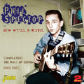 the album cover for Phil Spector - He's Still a Rebel: Completing the Wall of Sound 19