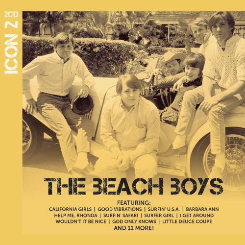the album cover for The Beach Boys - Icon