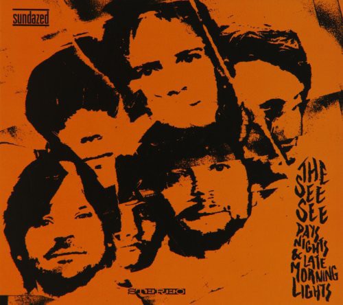 the album cover for See See - Days Nights & Late Morning Lights