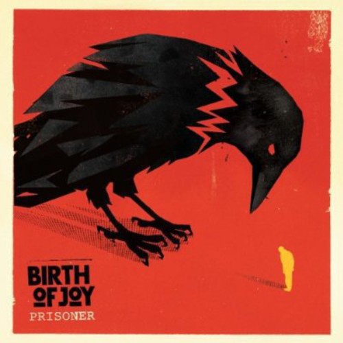 the album cover for Birth Of Joy - Prisoner