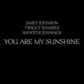 the album cover for Shooter Jennings & John Ramirez - You Are My Sunshine