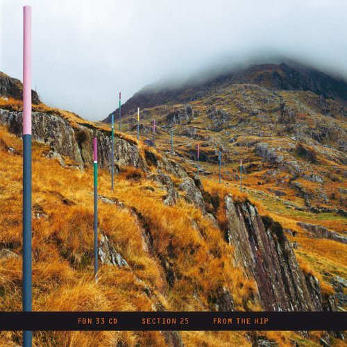 the album cover for Section 25 - From the Hip