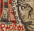 the album cover for Sizzla - Radical