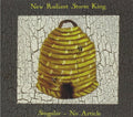 the album cover for New Radiant Storm King - Singular No Article