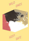 the album cover for Wild Ones - Keep It Safe