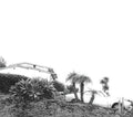 the album cover for Timber Timbre - Hot Dreams