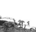 the album cover for Timber Timbre - Hot Dreams [Vinyl]