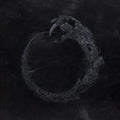 the album cover for Coffinworm - IV.I.VIII