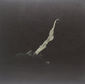 the album cover for White Suns - Totem