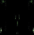 the album cover for Impetuous Ritual - Unholy Congregation of Hypocritical Ambivalence