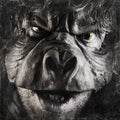 the album cover for Malachai - Beyond Ugly