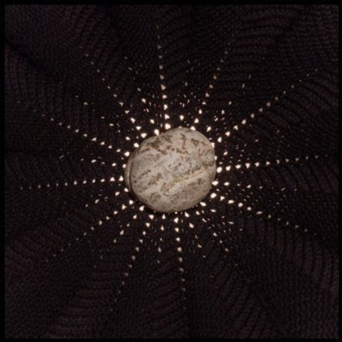 the album cover for Nat Baldwin - In the Hollows