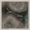 the album cover for Needtobreathe - Rivers In The Wasteland [Vinyl]