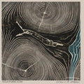 the album cover for Needtobreathe - Rivers in the Wasteland