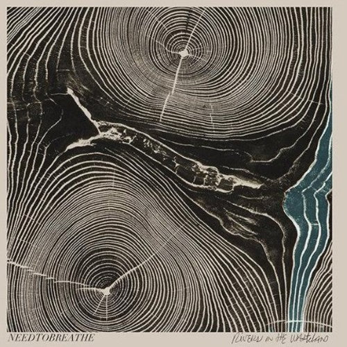 the album cover for Needtobreathe - Rivers in the Wasteland
