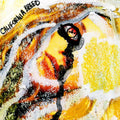 the album cover for California Breed - California Breed