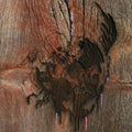 the album cover for Avey Tares Slasher Flicks - Enter the Slasher House