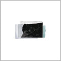 the album cover for Christopher Bissonette - Essays in Idleness