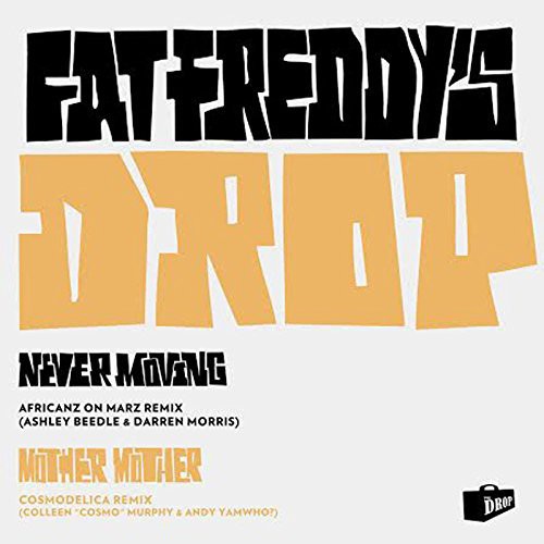 the album cover for Fat Freddys Drop - Mother Mother/Never Moving Remixes