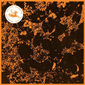 the album cover for Downliners Sekt - Silent Ascent