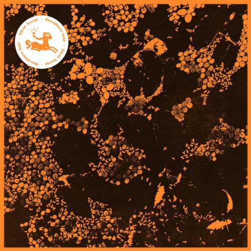 the album cover for Downliners Sekt - Silent Ascent