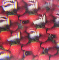the album cover for Thee Oh Sees - Floating Coffin
