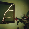 the album cover for Loop Haunts - Exits