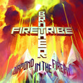 the album cover for Brother Firetribe - Diamond in the Firepit