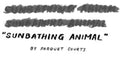 the album cover for Parquet Courts - Sunbathing Animal [Vinyl Single]