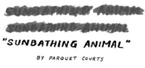 the album cover for Parquet Courts - Sunbathing Animal [Vinyl Single]
