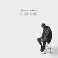 the album cover for Damon Albarn - Everyday Robots [Vinyl]