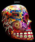 the album cover for James - La Petite Mort [Import]