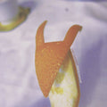 the album cover for Oren Ambarchi - Stacte Karaoke