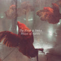 the album cover for Fresh & Onlys - House of Spirits