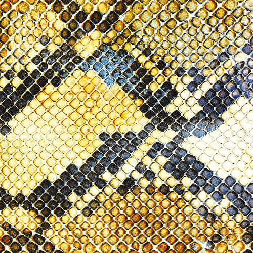 the album cover for Amazing Snakeheads - Amphetamine Ballads