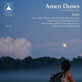 the album cover for Amen Dunes - Love
