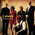 the album cover for Calaita Flamenco Son - Calaita Flamenco Son [Download Included]