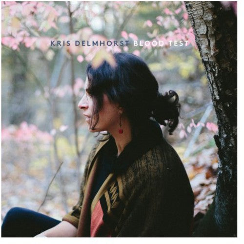 the album cover for Kris Delmhorst - Blood Test