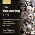 the album cover for Sixteen / Dougan / Pacelli / Bertolusi - Sixteen / Dougan / Pacelli / Bertolusi : Blossoming Vine: Italian Maestri in Poland