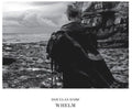 the album cover for Douglas Dare - Whelm
