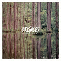 the album cover for Brigades - Crocodile Tears
