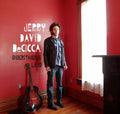 the album cover for Jerry Decicca - Understanding Land