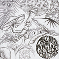 the album cover for Greg Ginn - Gumbo & Holy Water