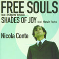 the album cover for Nicola Conte - Free Souls-Shades of Joy