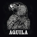the album cover for Aquila - Aquila