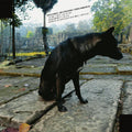 the album cover for Keiji Haino - Only Wanting to Melt Beautifully Away Is It a Lack