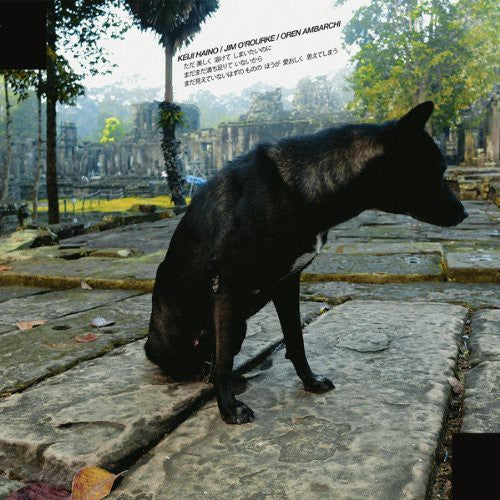the album cover for Keiji Haino - Only Wanting to Melt Beautifully Away Is It a Lack