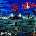 the album cover for Mystifier - Wicca