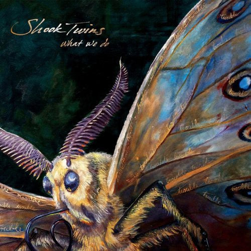 the album cover for Shook Twins - What We Do