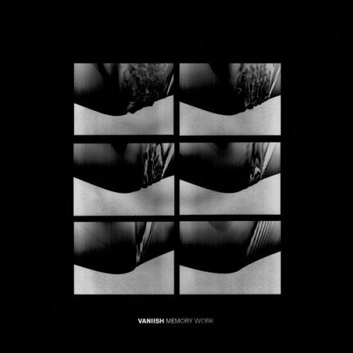 the album cover for Vaniish - Memory Work